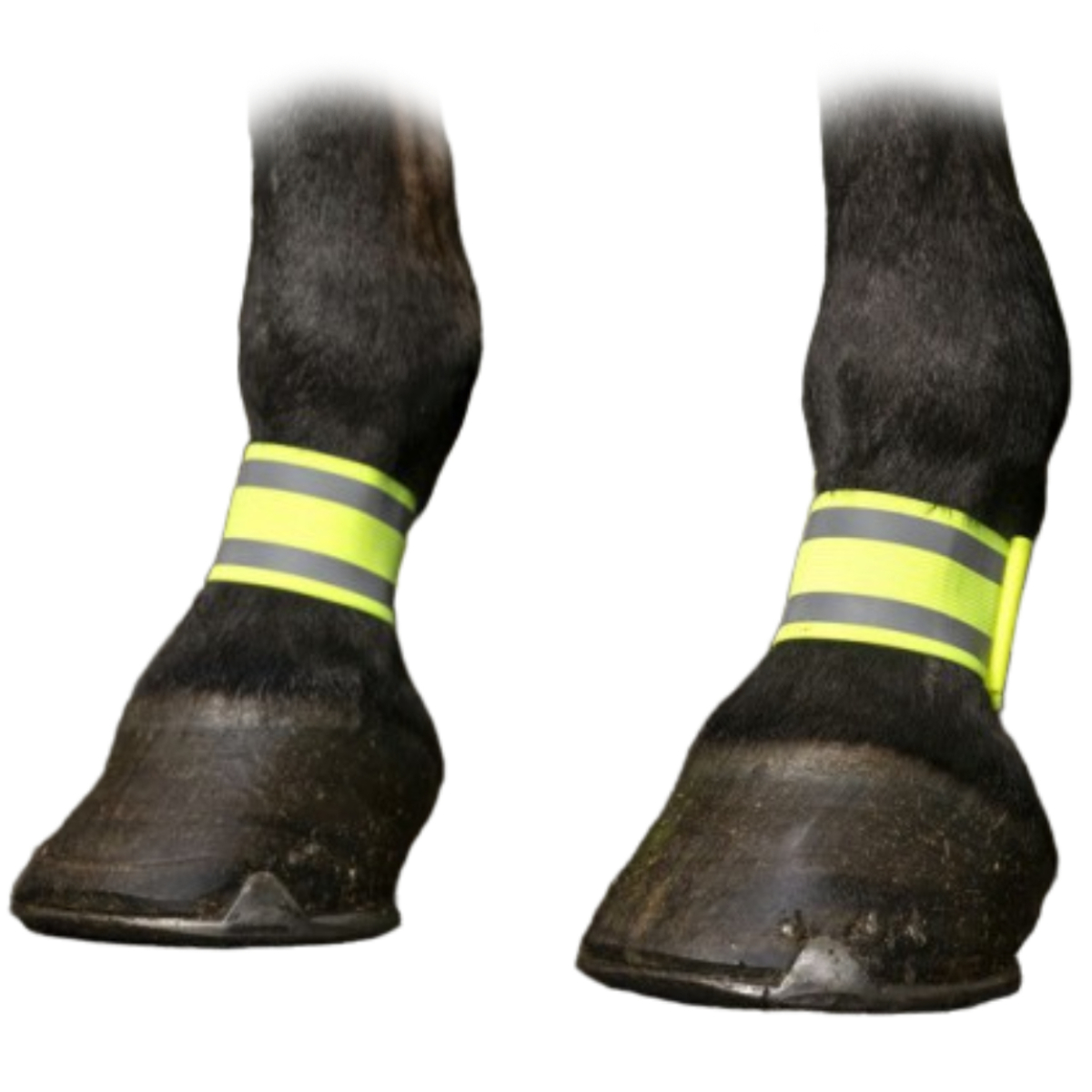 Бандаж светоотражающий NORTON  на ноги, пар