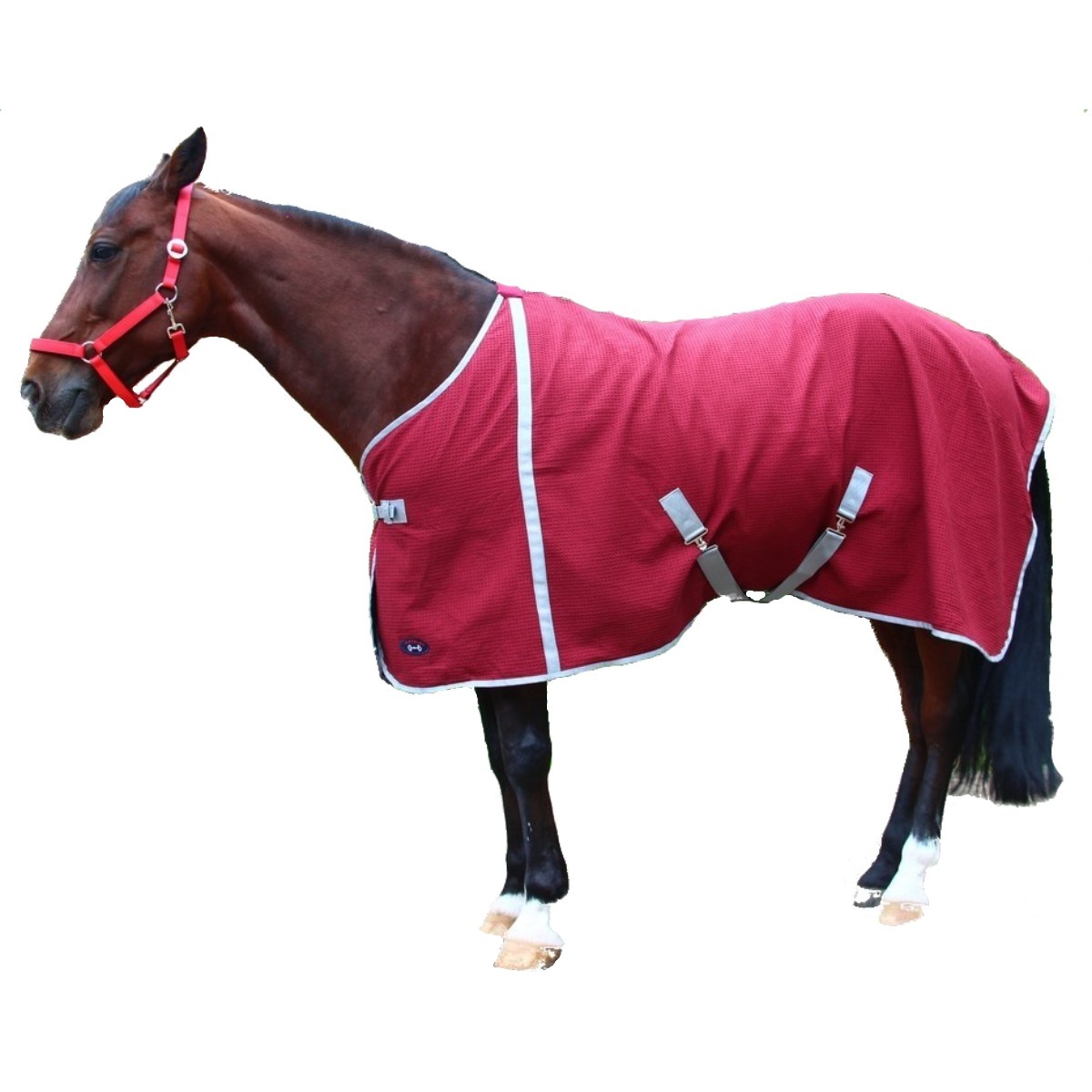 Попона вафельная для лошади Попона вафельная для лошади