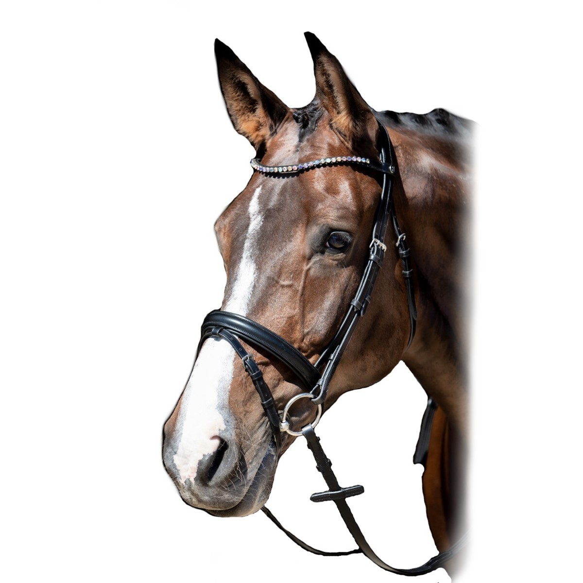 Оголовье трензельное "Fiesta"