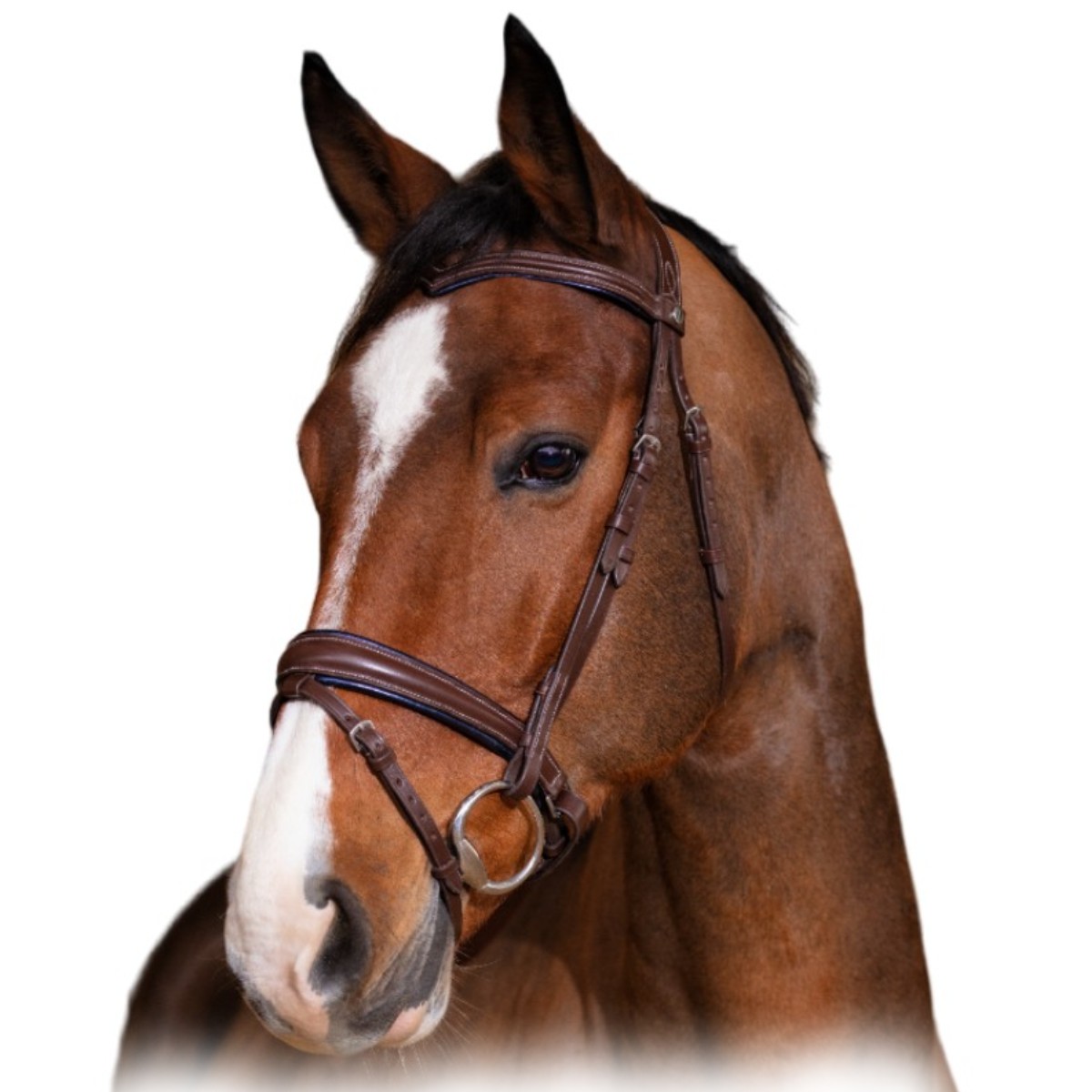 Оголовье трензельное "SATIN" Оголовье трензельное "SATIN"