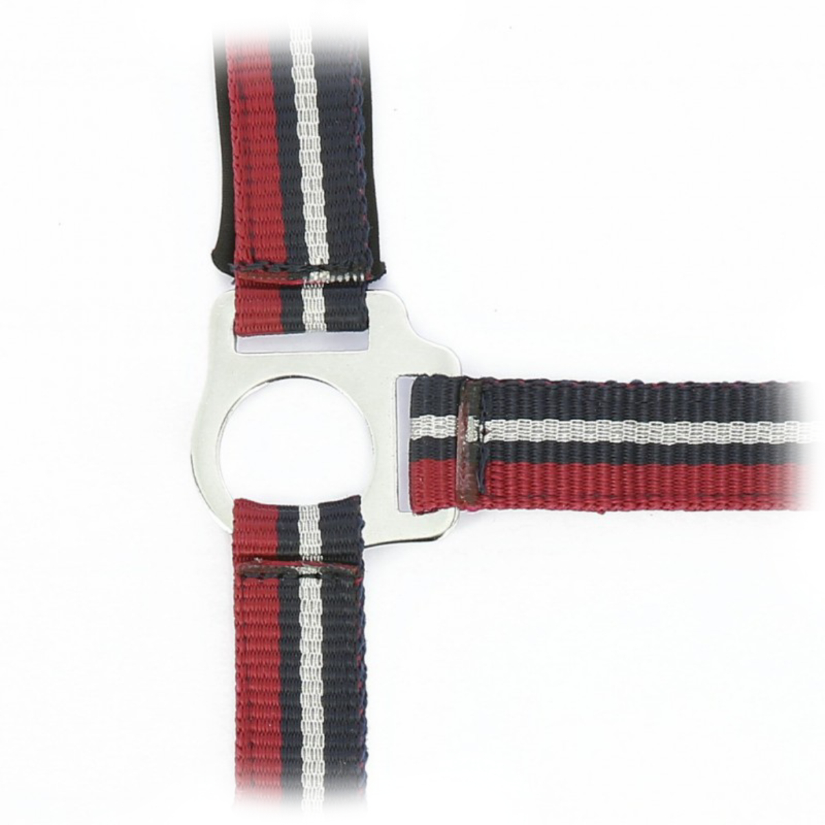 Комплект "BRILLANT” (недоуздок+чумбур) 