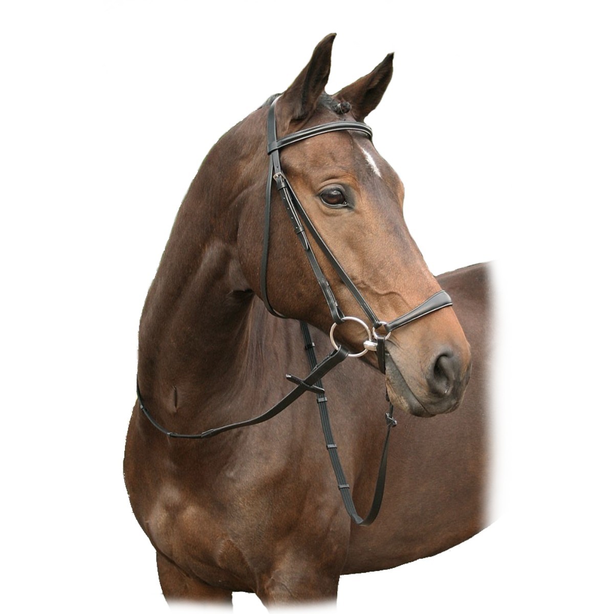 Оголовье трензельное "Harry's Horse" Оголовье трензельное "Harry's Horse"
