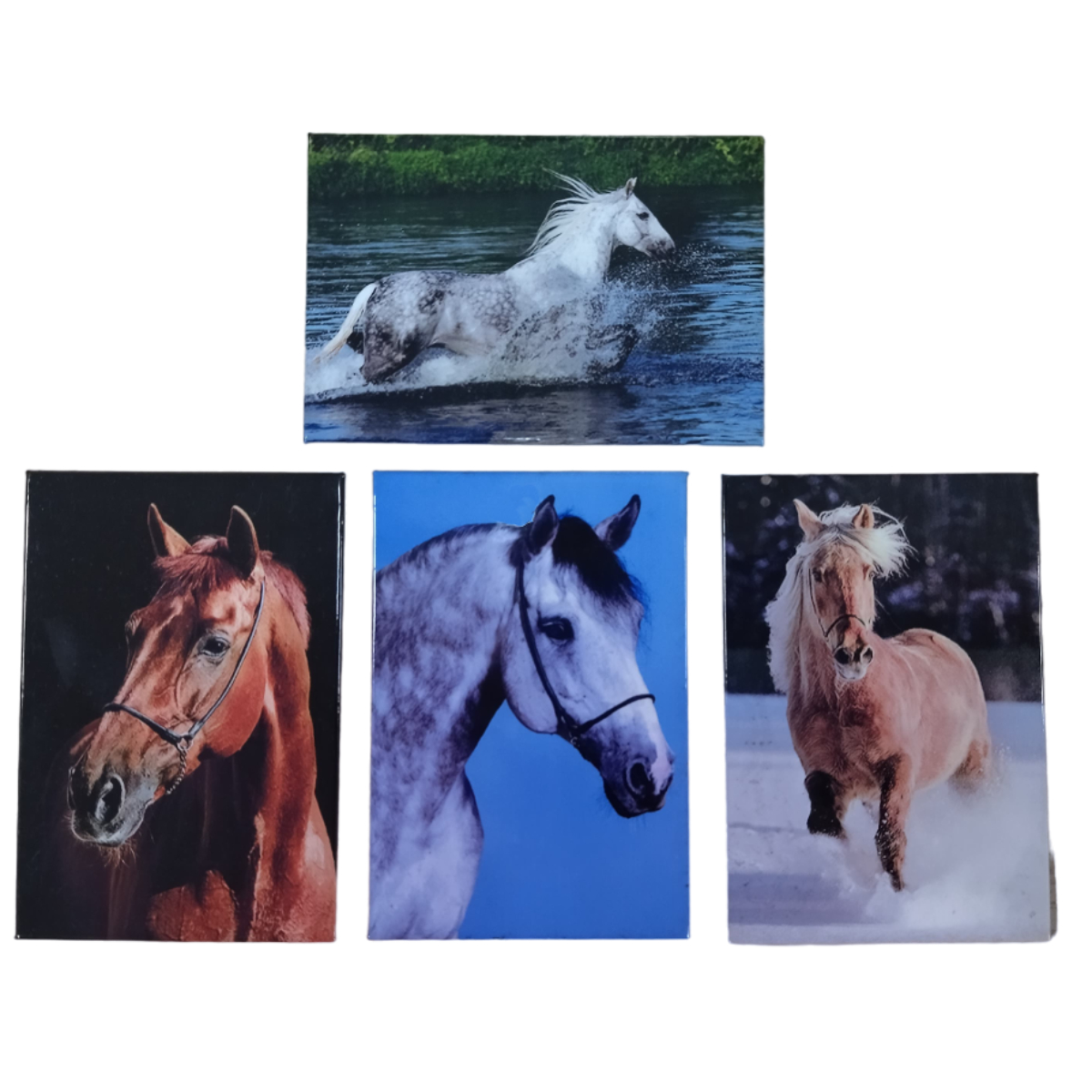 Магнит с изображением "Лошадь" закатный Магнит с изображением "Лошадь" закатный