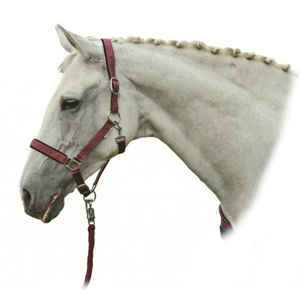 Недоуздок нейлоновый  "Star"