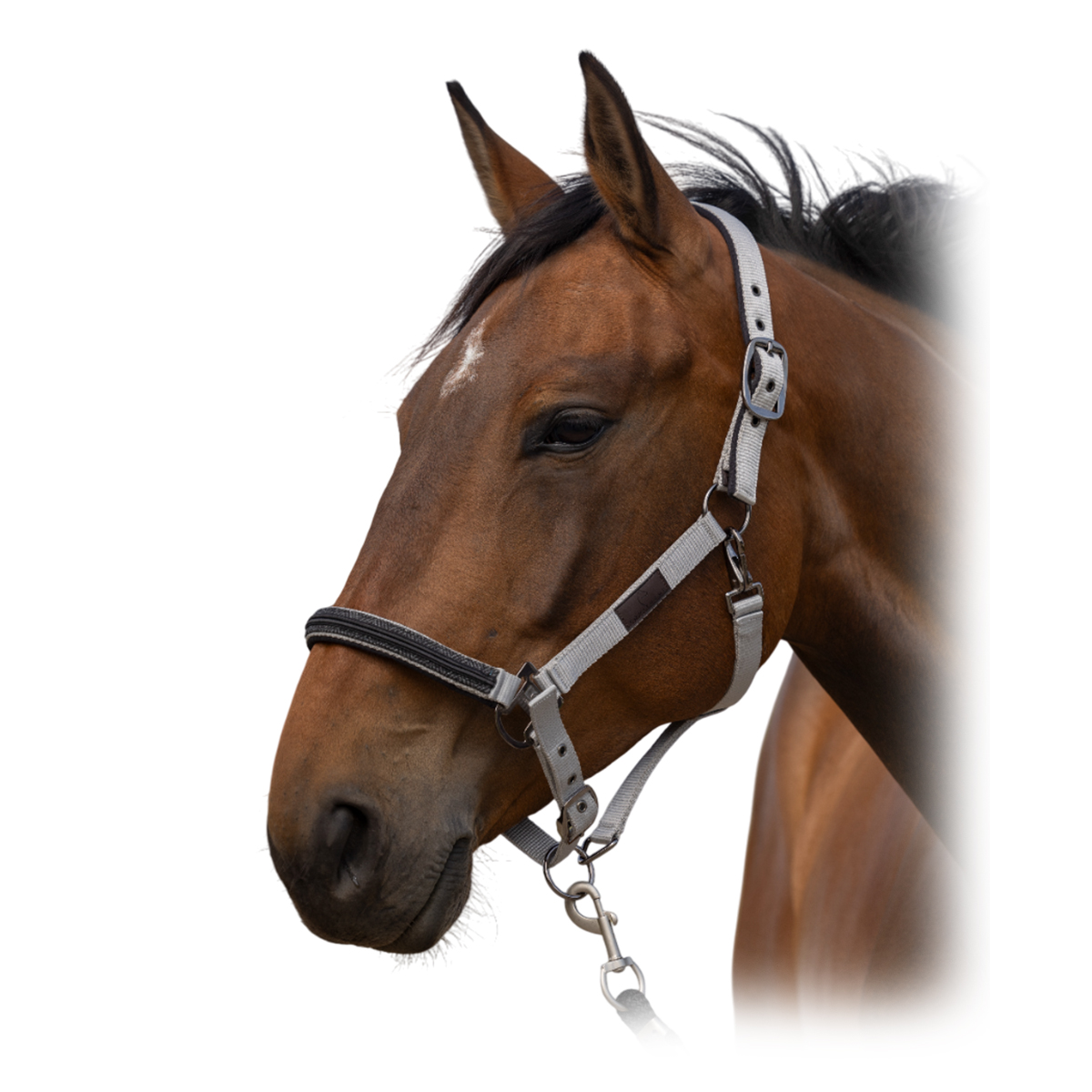 Недоуздок "Nylon Chevron" Недоуздок "Nylon Chevron"