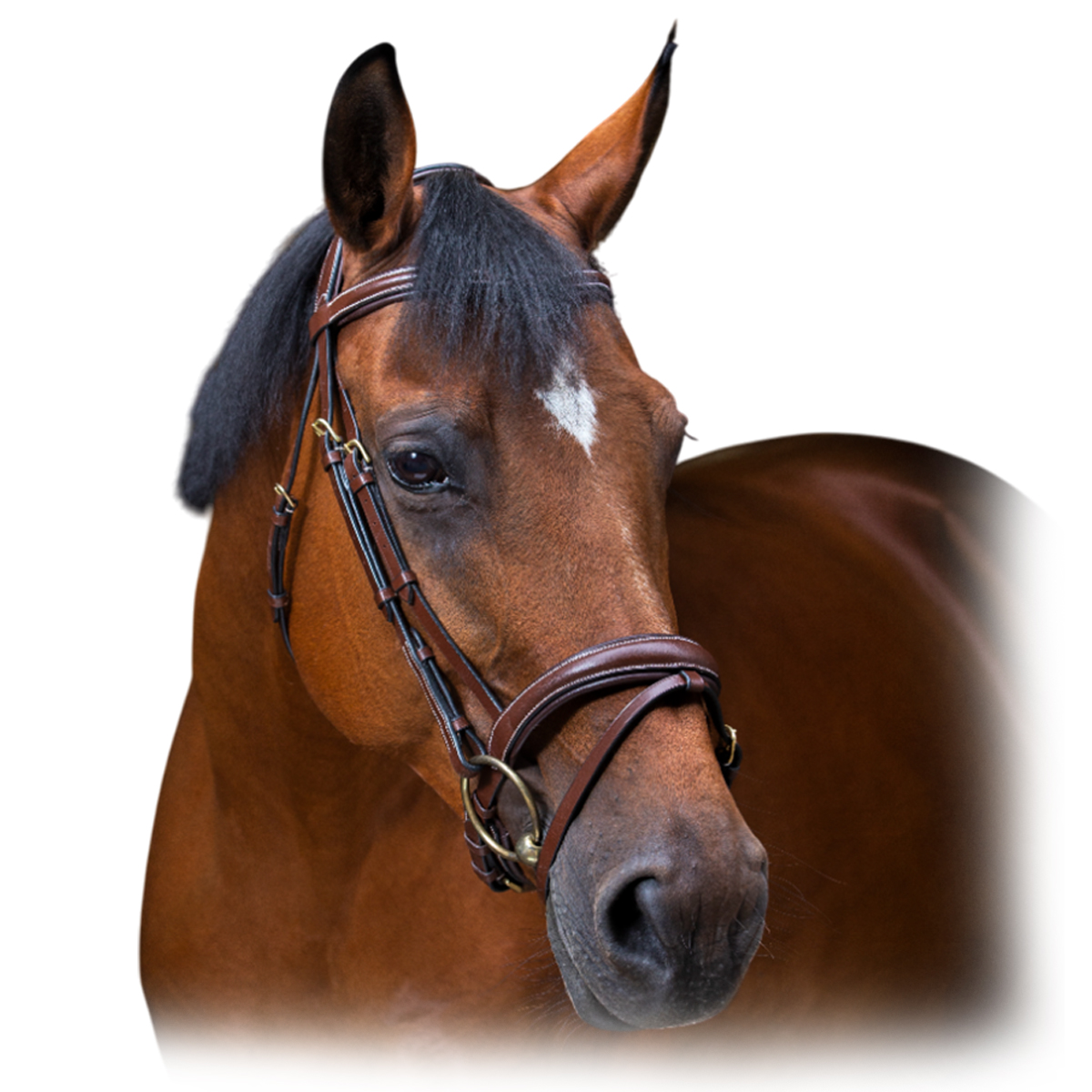 Оголовье трензельное "WAVE" Оголовье трензельное "WAVE"