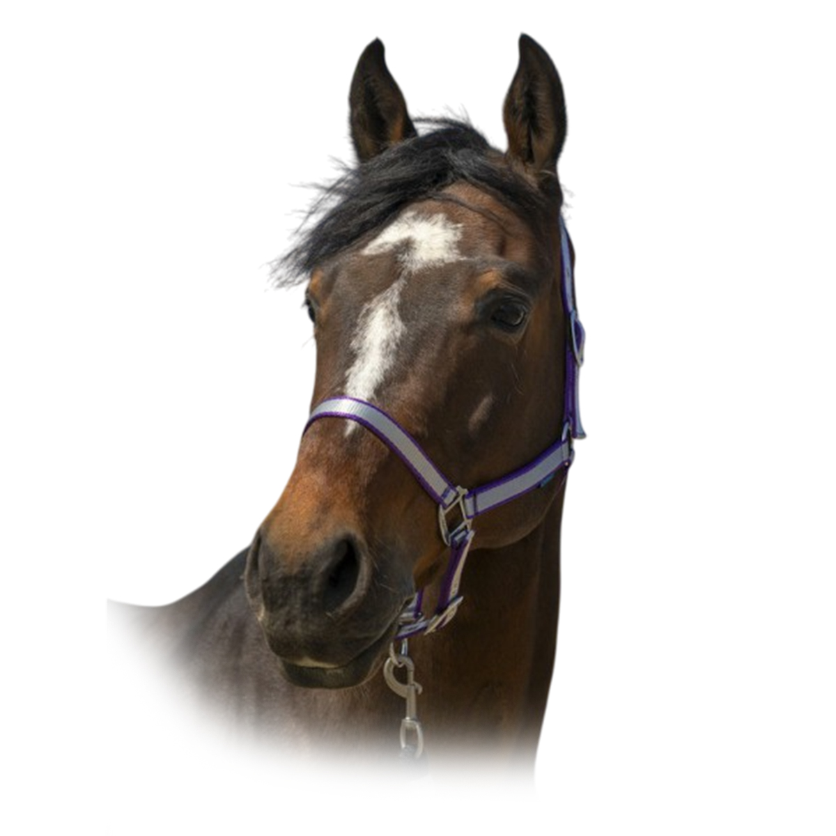 Недоуздок "Nylon Soft" 