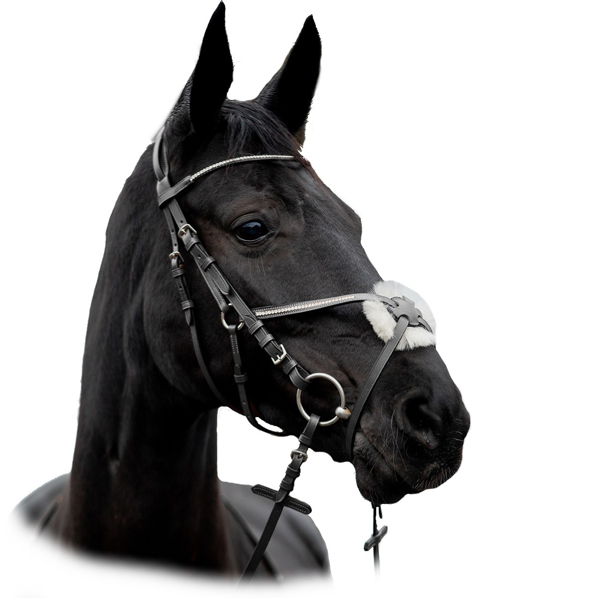 Оголовье трензельное "Horze Valencia" с мексиканским капсюлем Оголовье трензельное "Horze Valencia" с мексиканским капсюлем