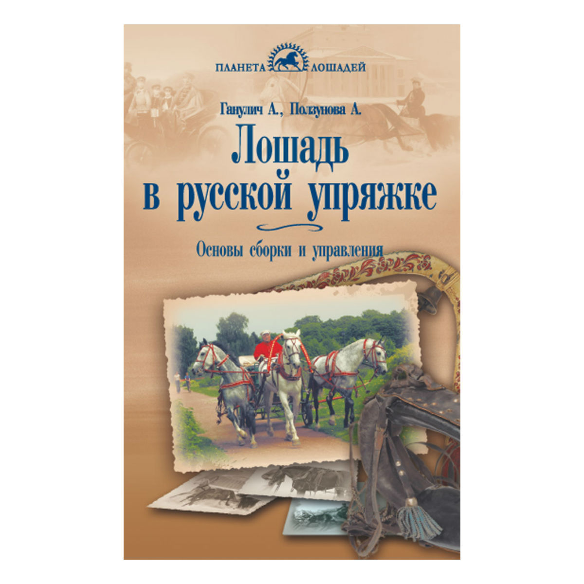Лошадь в русской упряжке, Ганулич А.А. Лошадь в русской упряжке, Ганулич А.А.