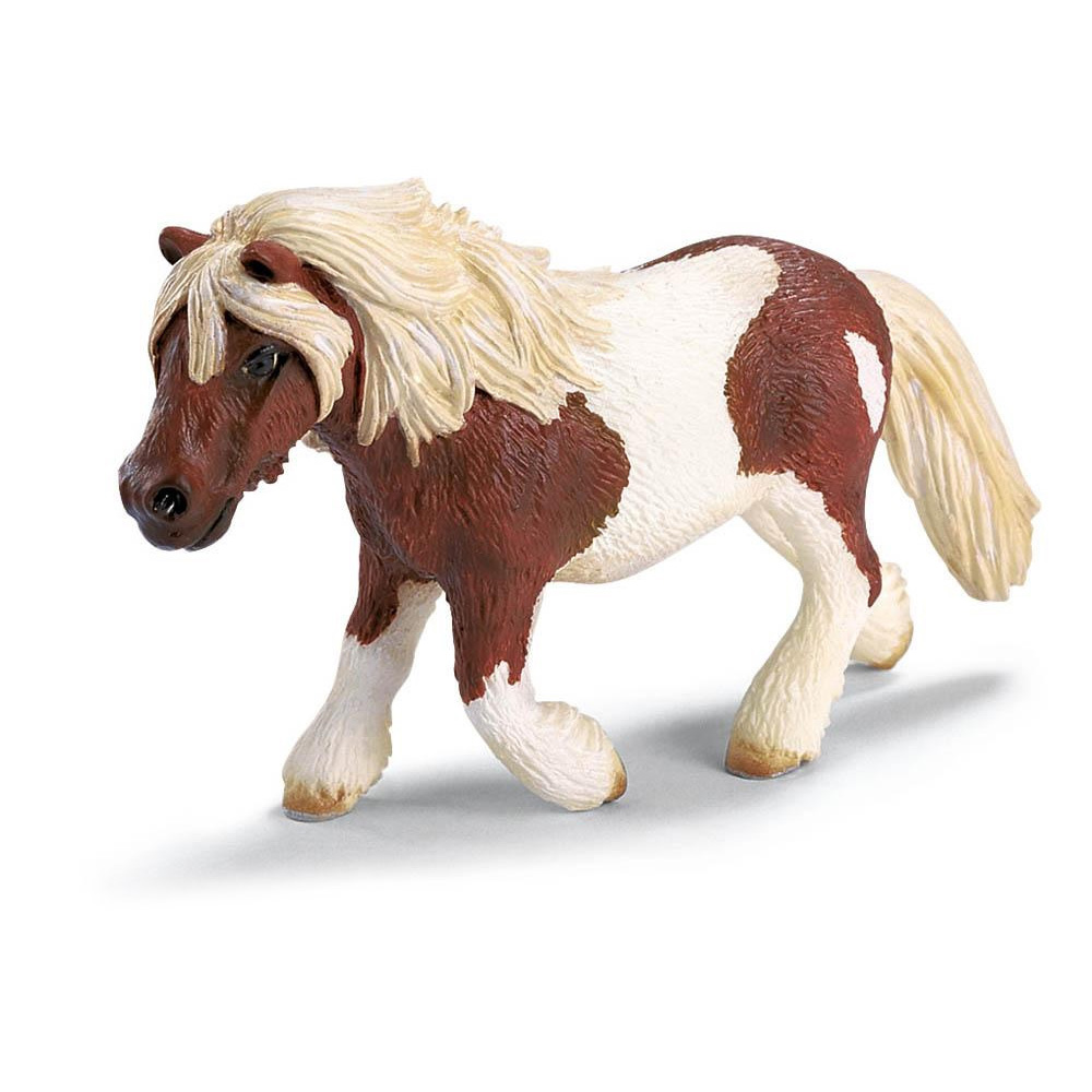 Шетландский пони Шетландский пони