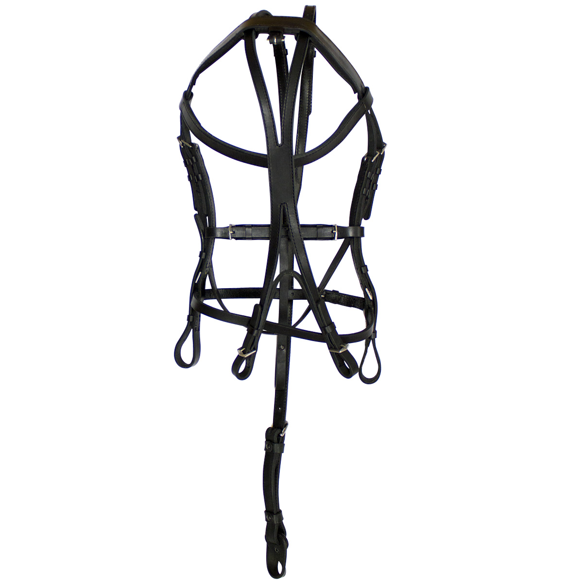 Оголовье рысистое с чеком (Россия)