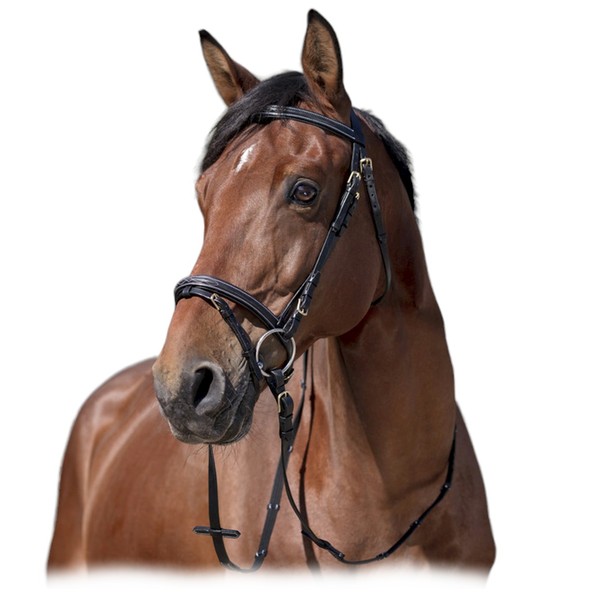 Оголовье трензельное "SURPIQUÉ" Оголовье трензельное "SURPIQUÉ"