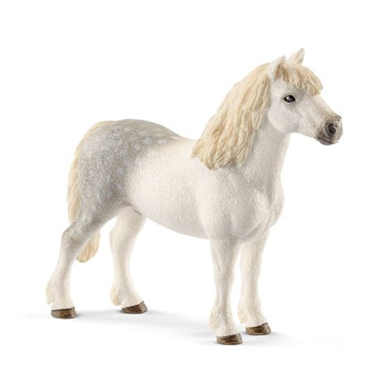 Жеребец Уэльского пони Жеребец Уэльского пони