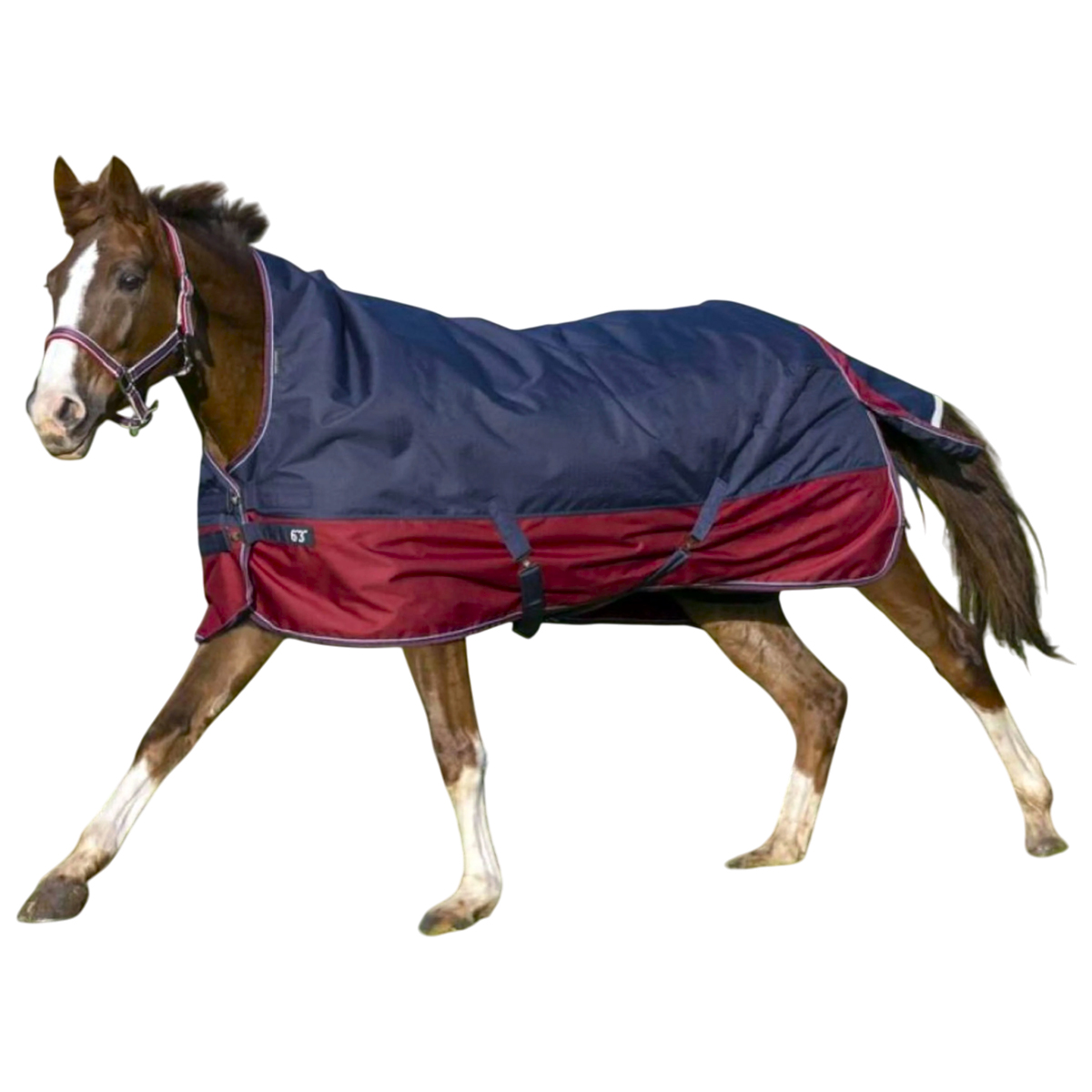 Попона противодождевая с нейлоновой подкладкой Попона противодождевая с нейлоновой подкладкой