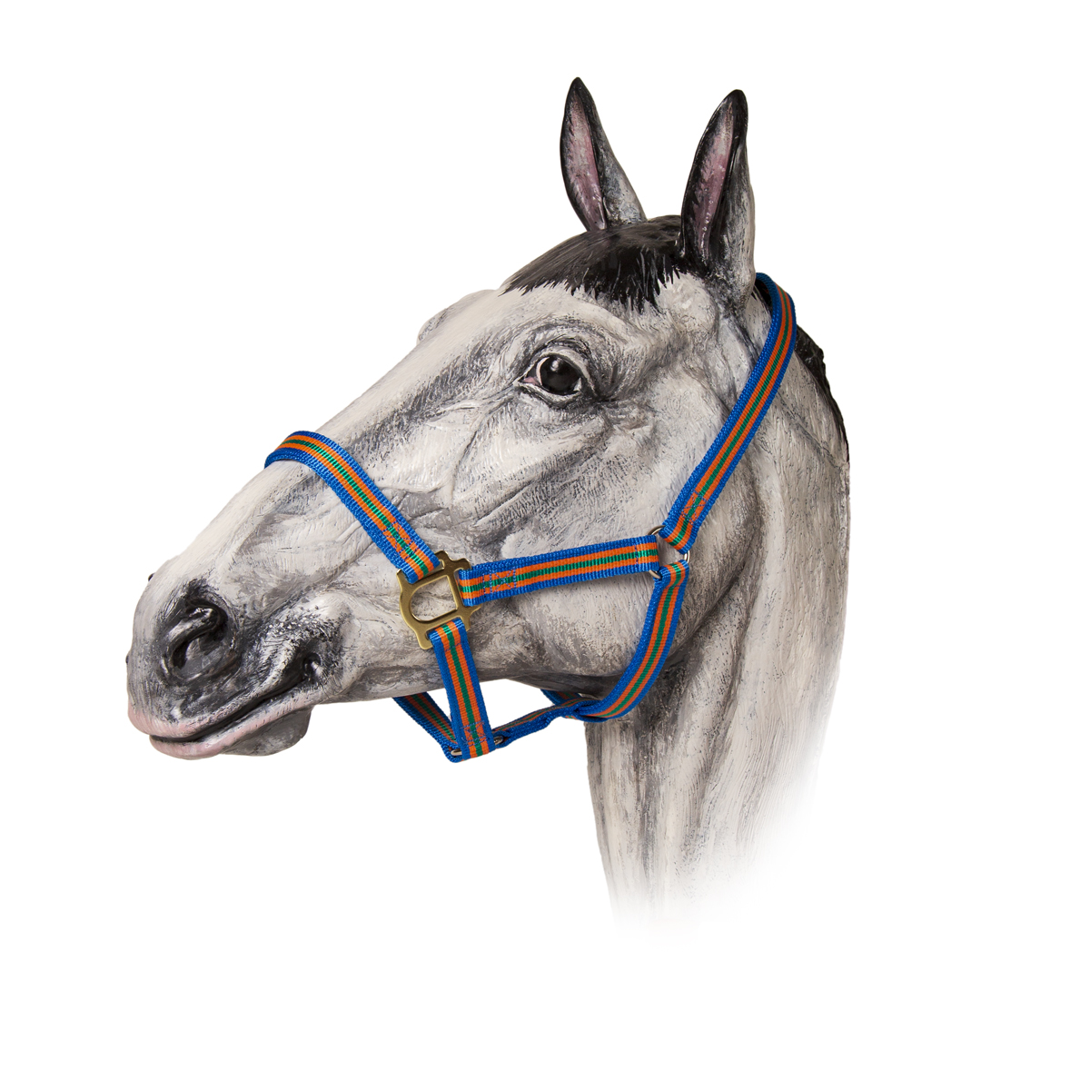 Недоуздок нейлоновый цветной "TAYGA" Недоуздок нейлоновый цветной "TAYGA"