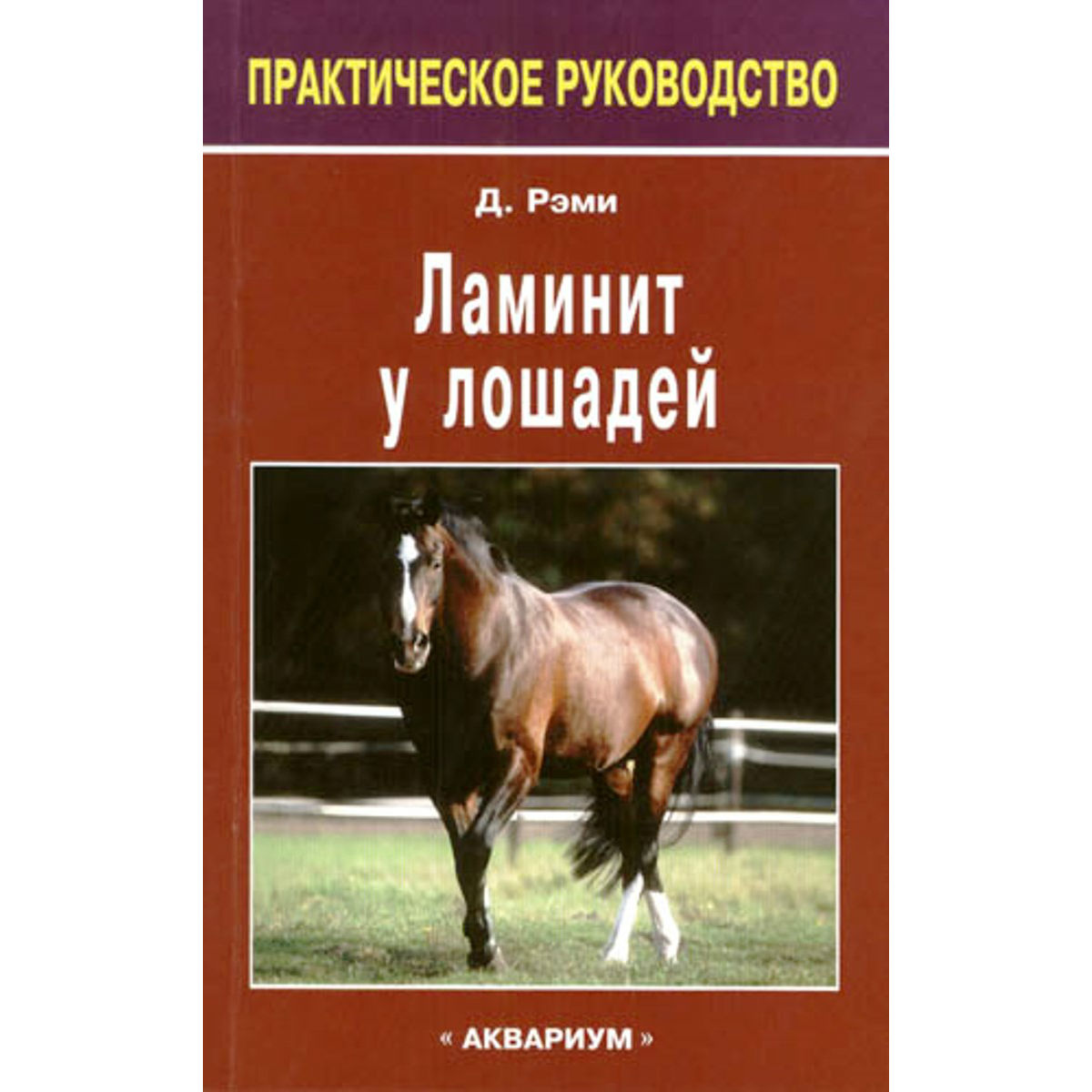 Ламинит у лошадей, Рэми Д.