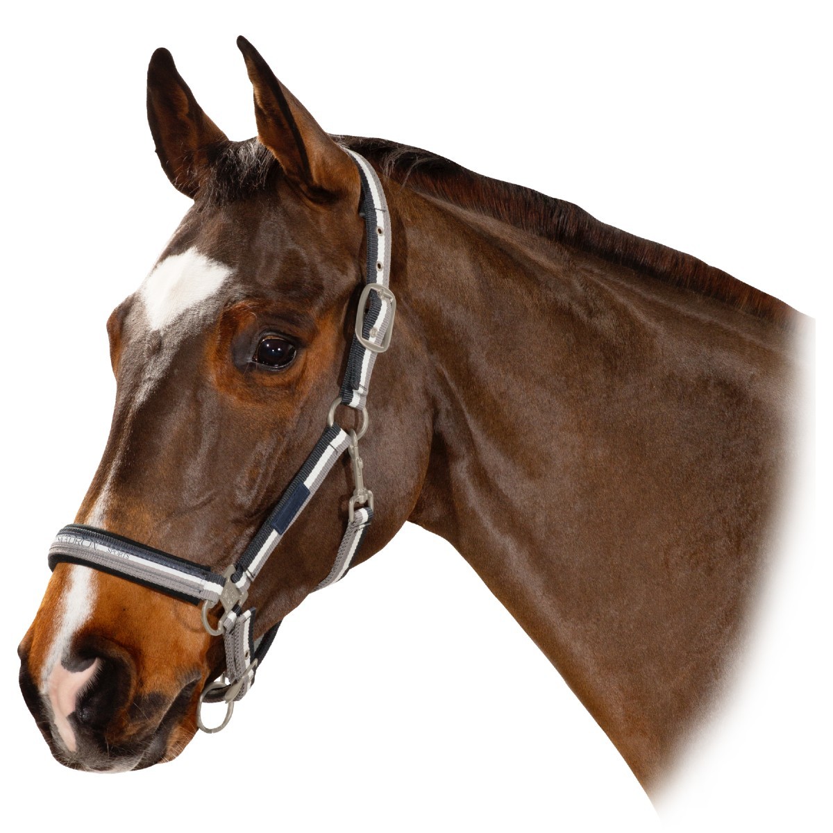 Недоуздок ESKADRON "STRIPED", 410170815