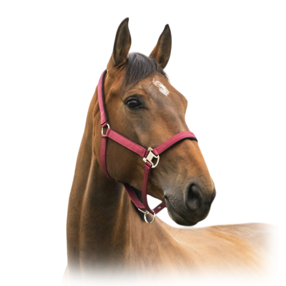 Недоуздок нейлоновый AIR на подложке Недоуздок нейлоновый AIR на подложке