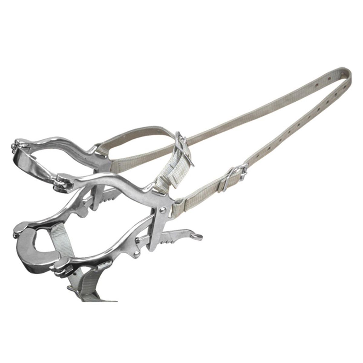 Зевник Зевник