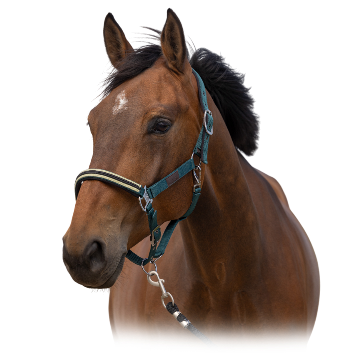 Недоуздок "Nylon Chevron" 