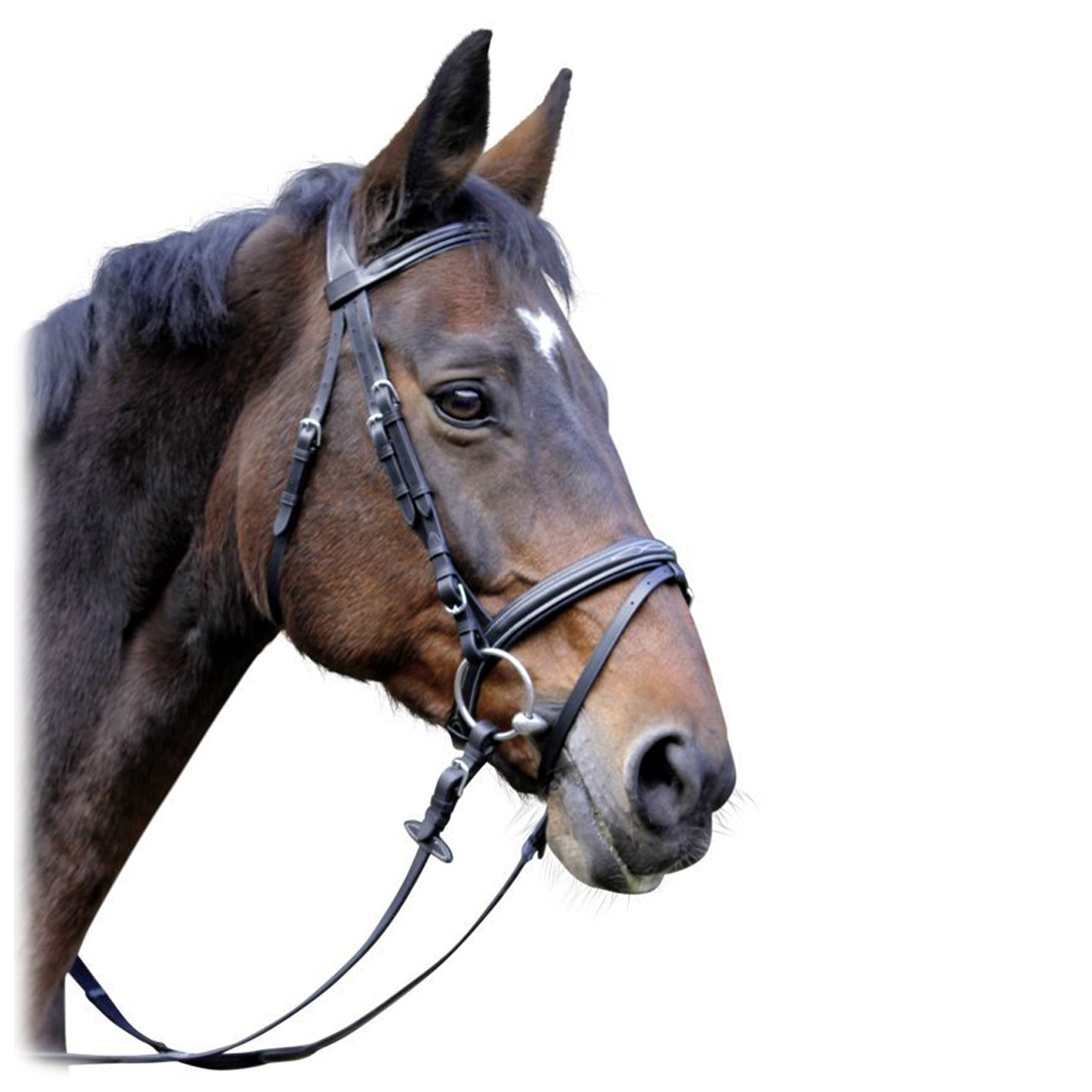 Оголовье трензельное "Classic" Оголовье трензельное "Classic"