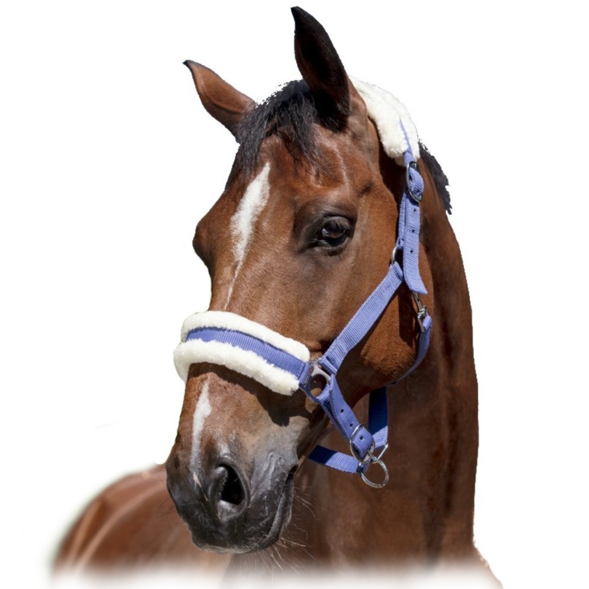 Недоуздок с мехом 