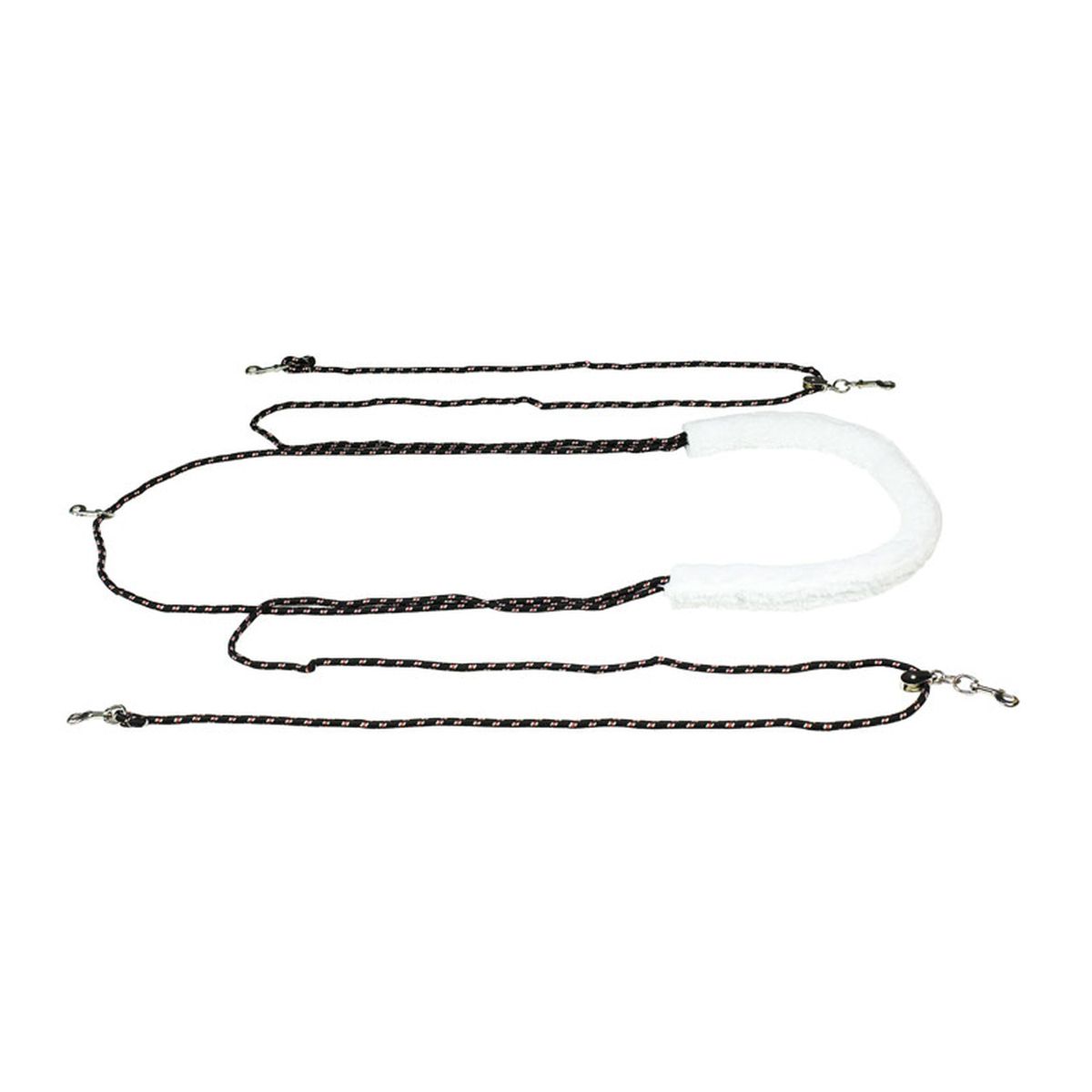 Шлея Пессоа