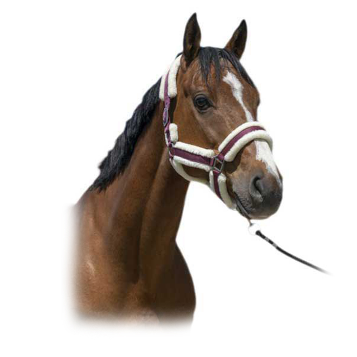 Недоуздок с мехом "COSY" Недоуздок с мехом "COSY"