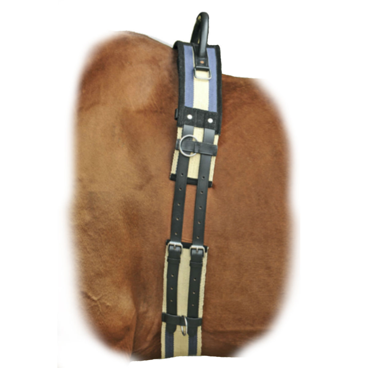 Гурта для иппотерапии тесьмяная