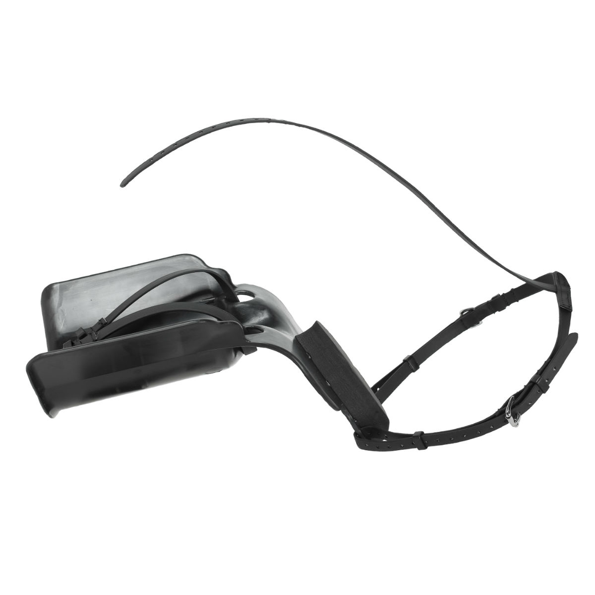 Рогач подбородный Рогач подбородный