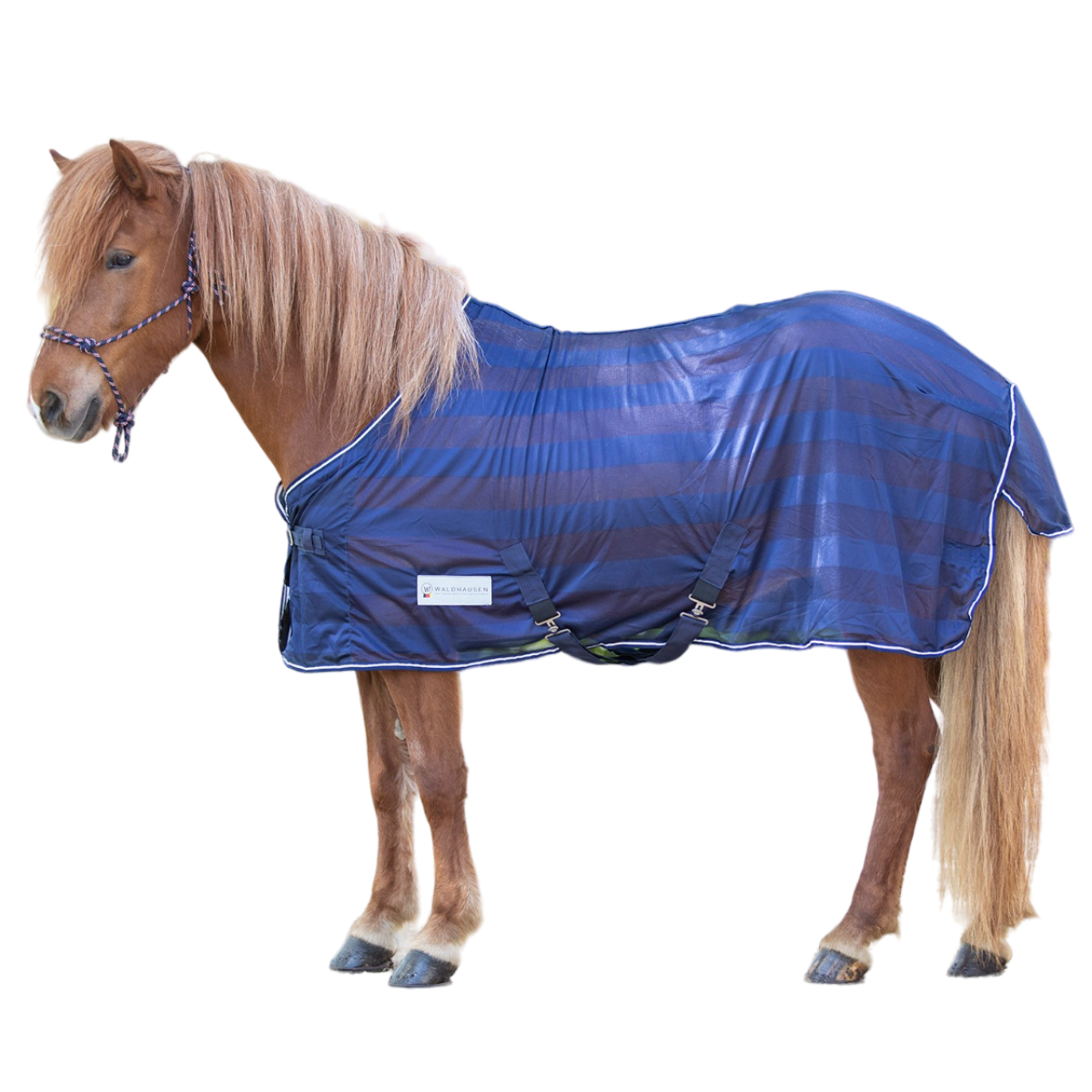 Попона-сетка для лошади Попона-сетка для лошади