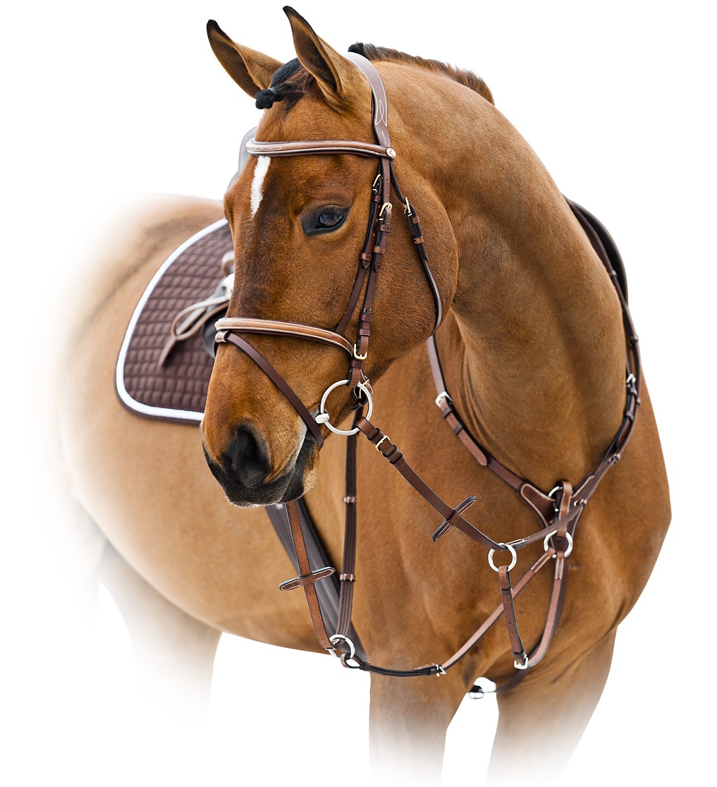 Оголовье трензельное с отстрочкой "Constance"