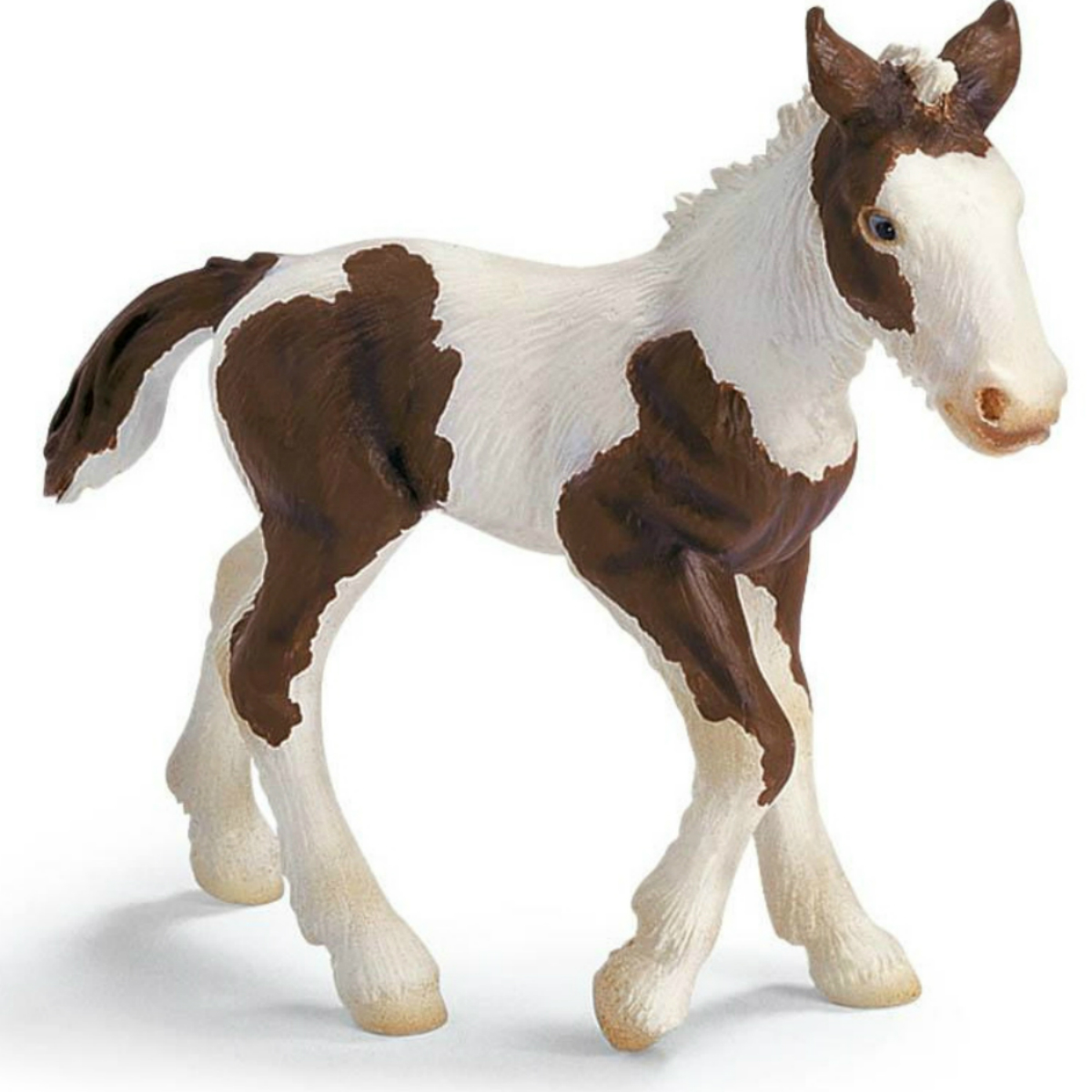 Жеребенок тинкер