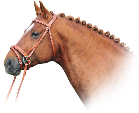 Оголовье трензельное НКМ Linda