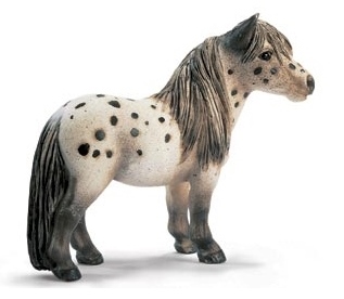 Жеребец фалабелла Жеребец фалабелла