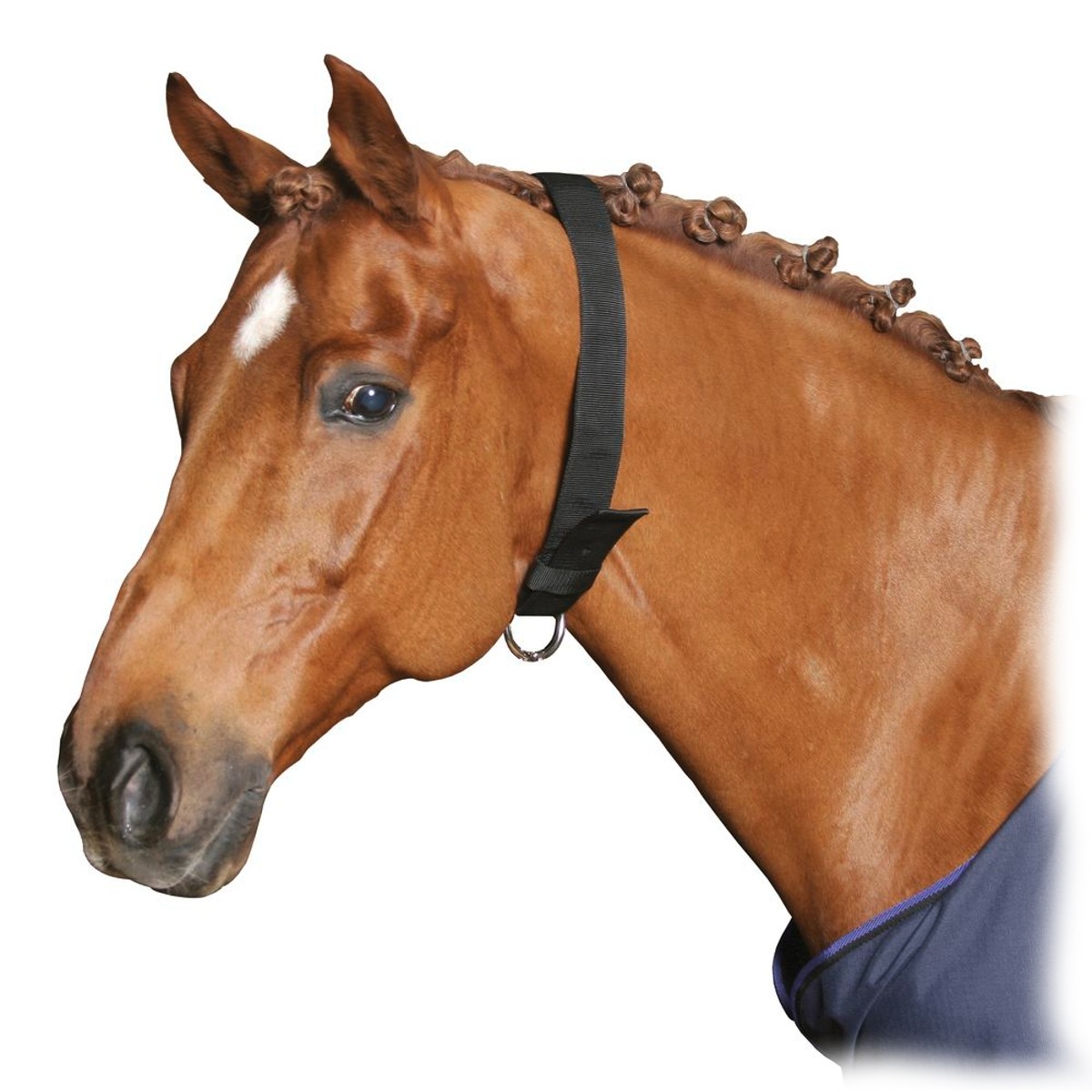 Ошейник от прикуски Ошейник от прикуски