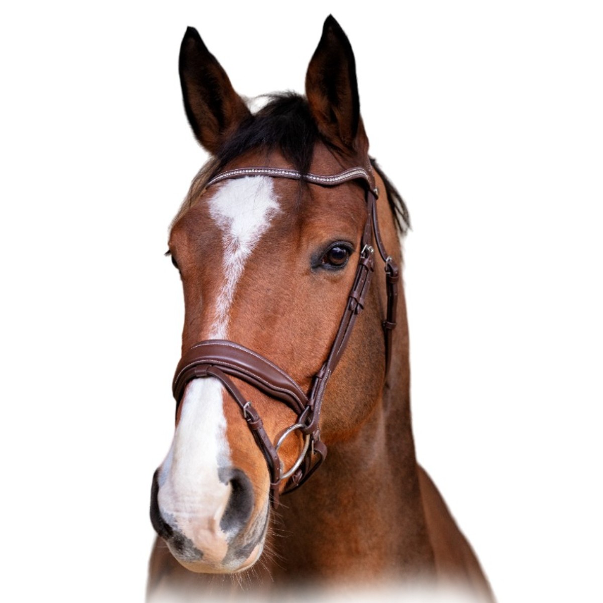 Оголовье трензельное "MISS" Оголовье трензельное "MISS"