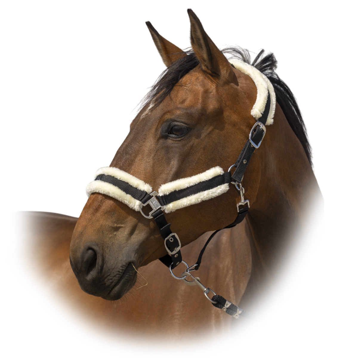 Недоуздок с мехом "Nylon Mouton"