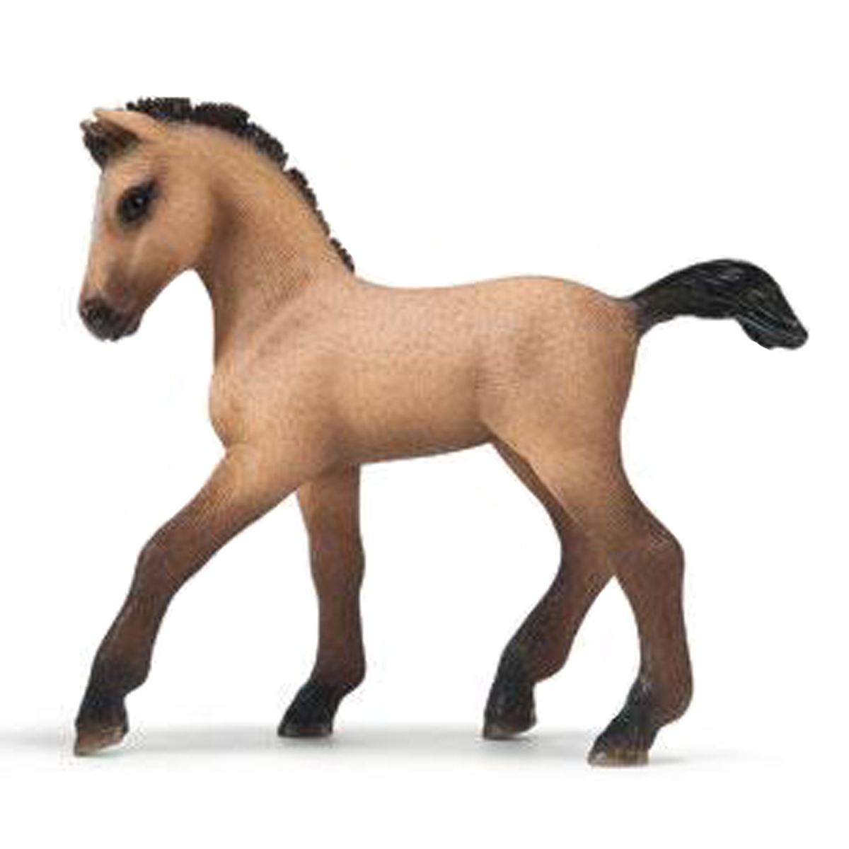 Жеребенок андалузский Жеребенок андалузский