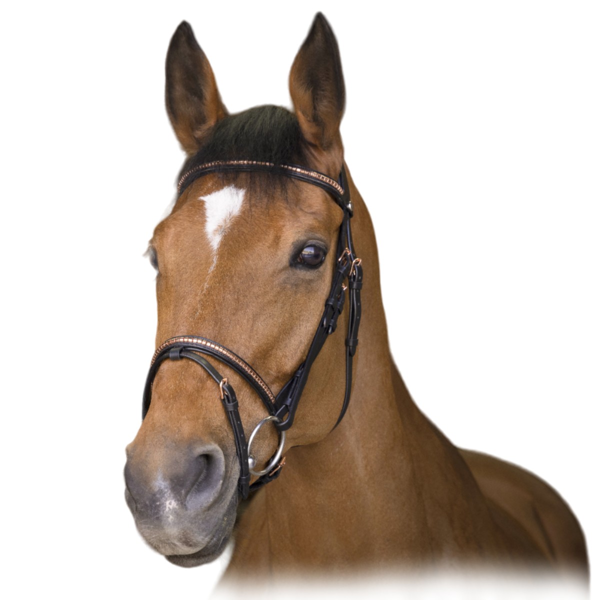 Оголовье трензельное "CLINCHER"