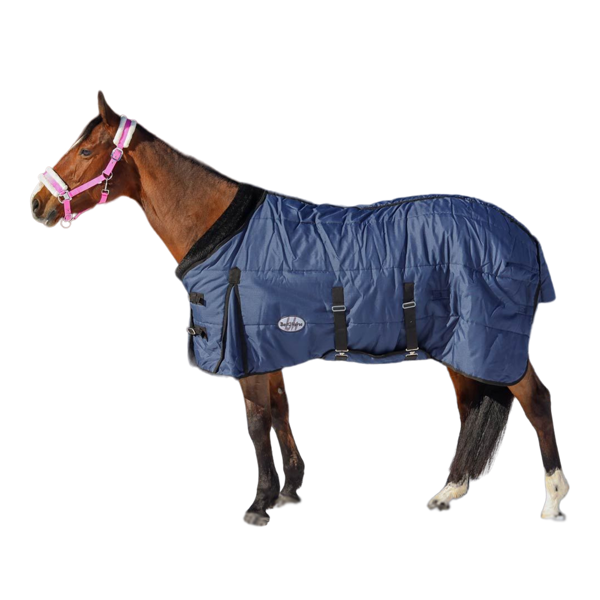 Попона зимняя Best on Horse для лошади Попона зимняя Best on Horse для лошади