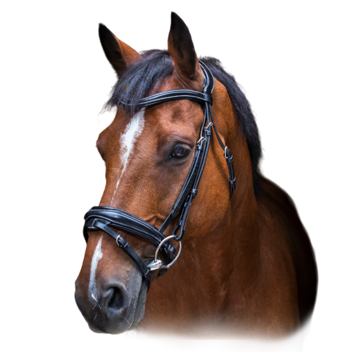 Оголовье трензельное "DESIGN"