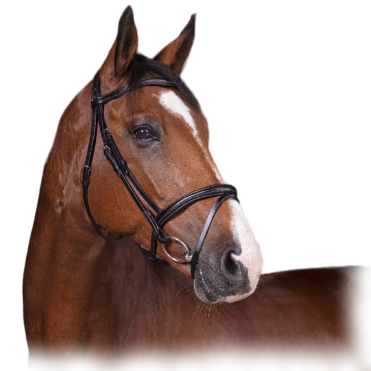 Оголовье трензельное "COMBINÉE" Оголовье трензельное "COMBINÉE"