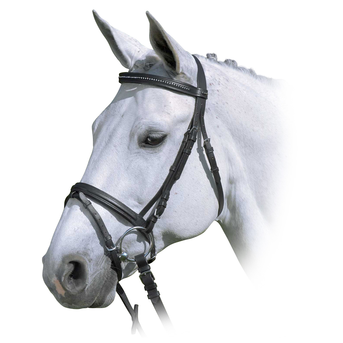 Оголовье трензельное со стразами 