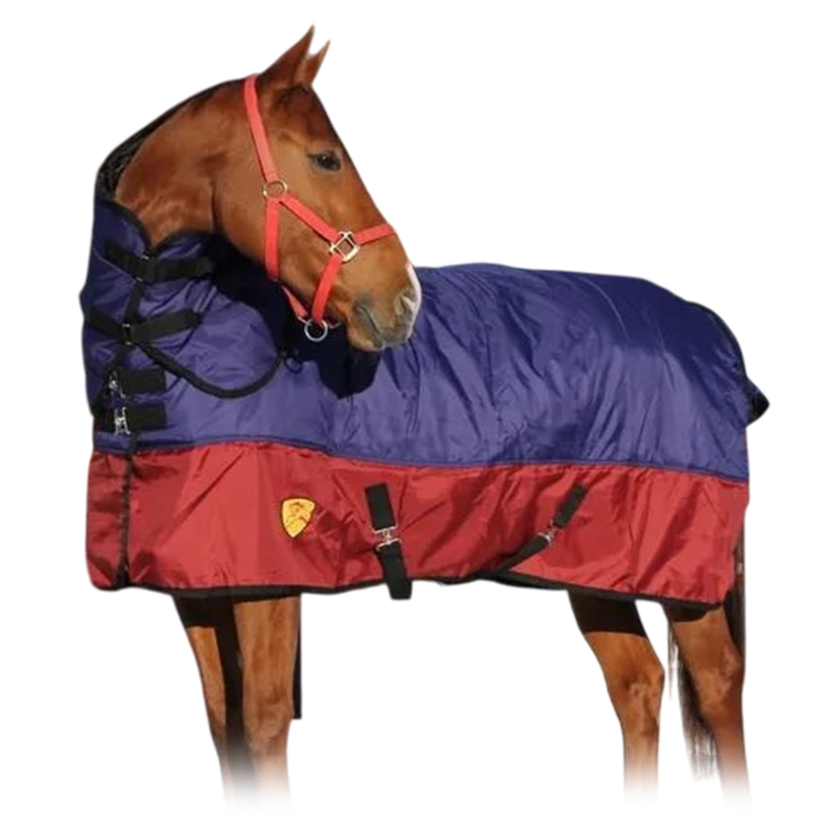 Попона зимняя EQUIMAN со съемным капором Попона зимняя EQUIMAN со съемным капором