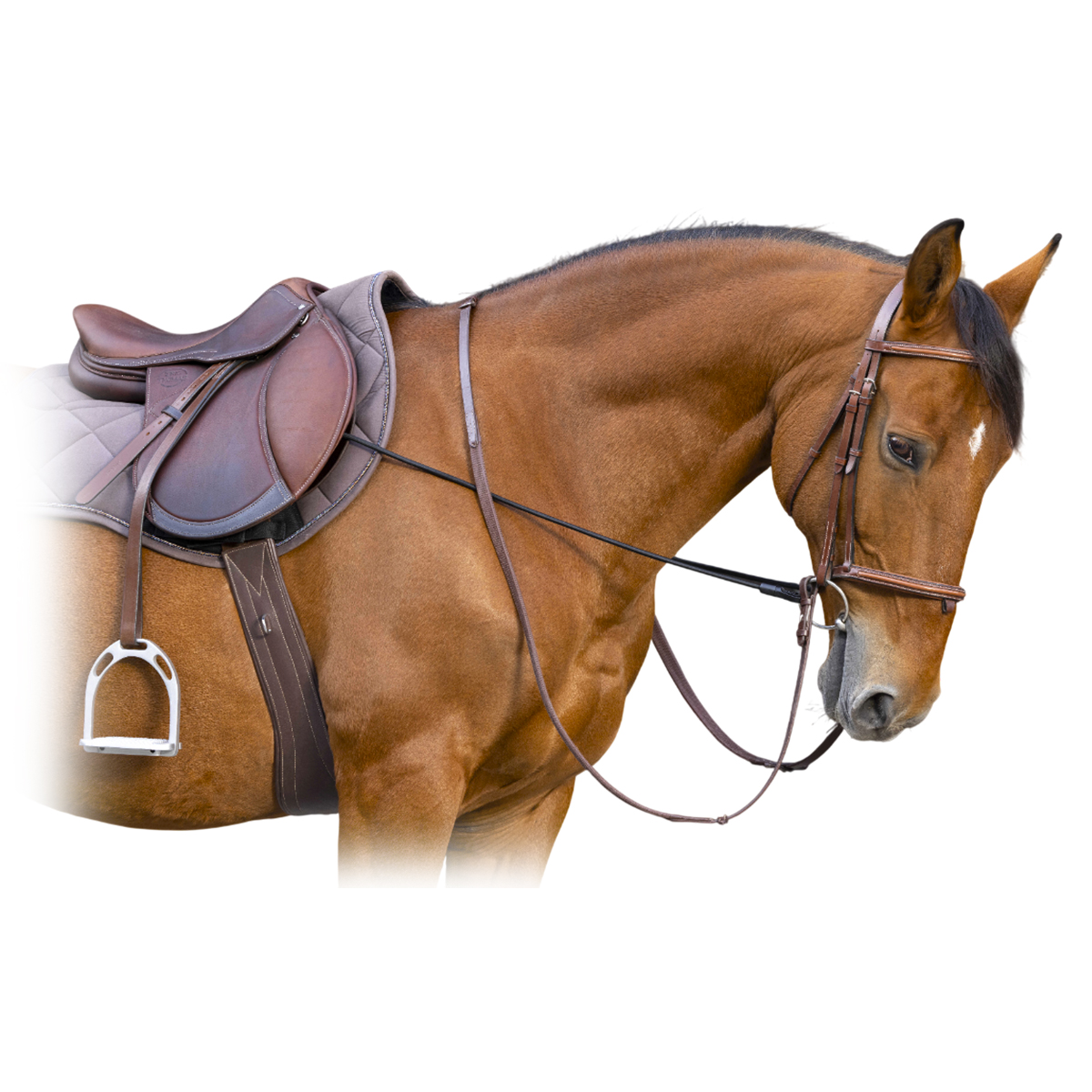 Поводья тренировочные эластичные (гог) "NORTON", пара Поводья тренировочные эластичные (гог) "NORTON", пара