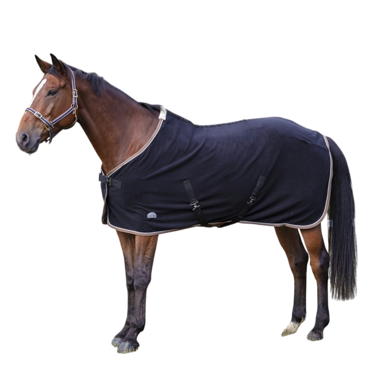 Попона флисовая EQUITHÈME для лошади Попона флисовая EQUITHÈME для лошади