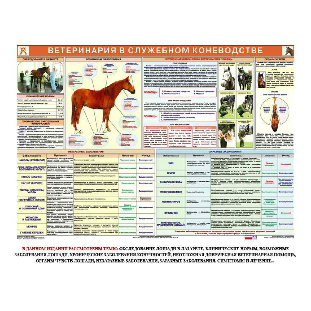 Комплект плакатов "Служебное коневодство" Комплект плакатов "Служебное коневодство"