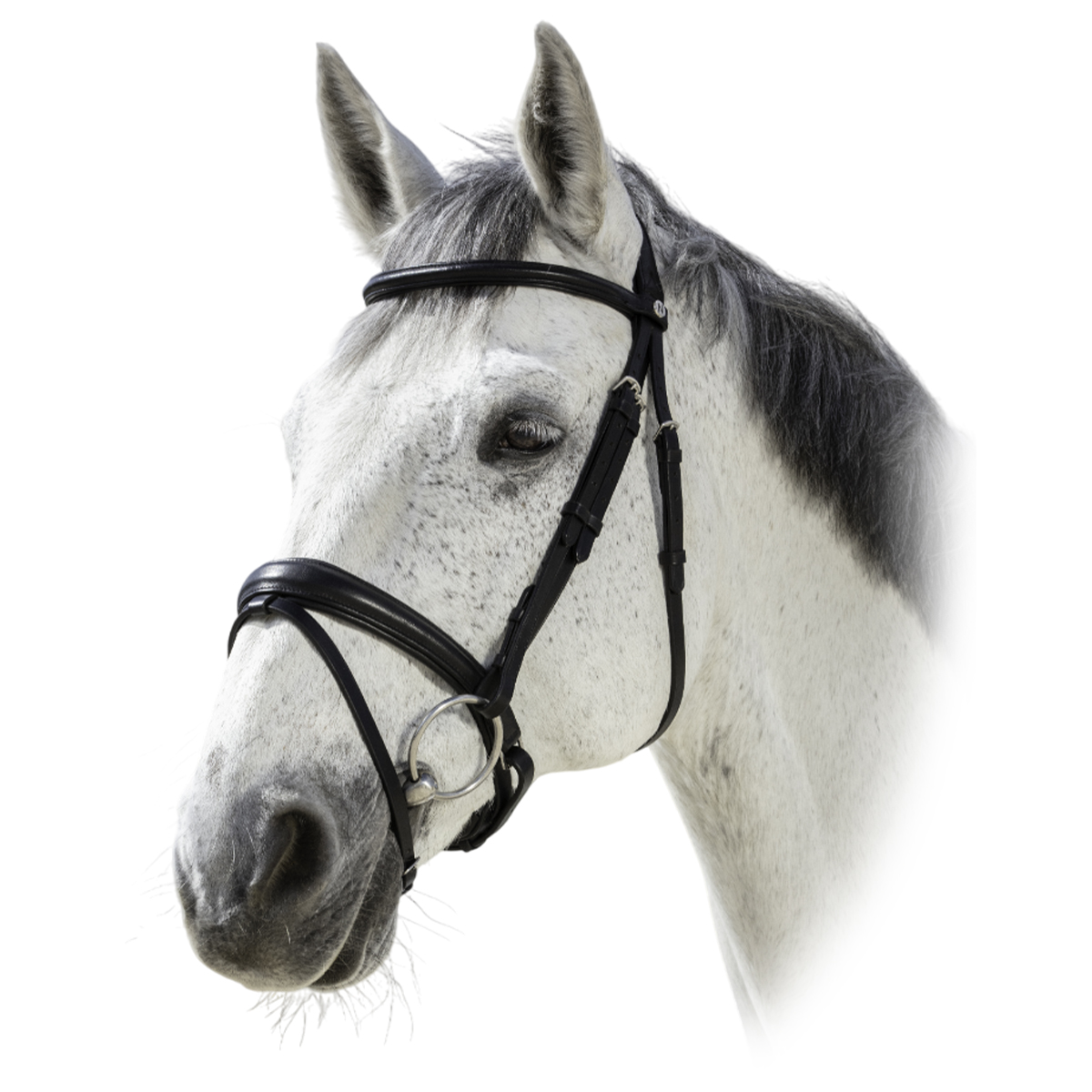 Оголовье трензельное "SOFT" Оголовье трензельное "SOFT"