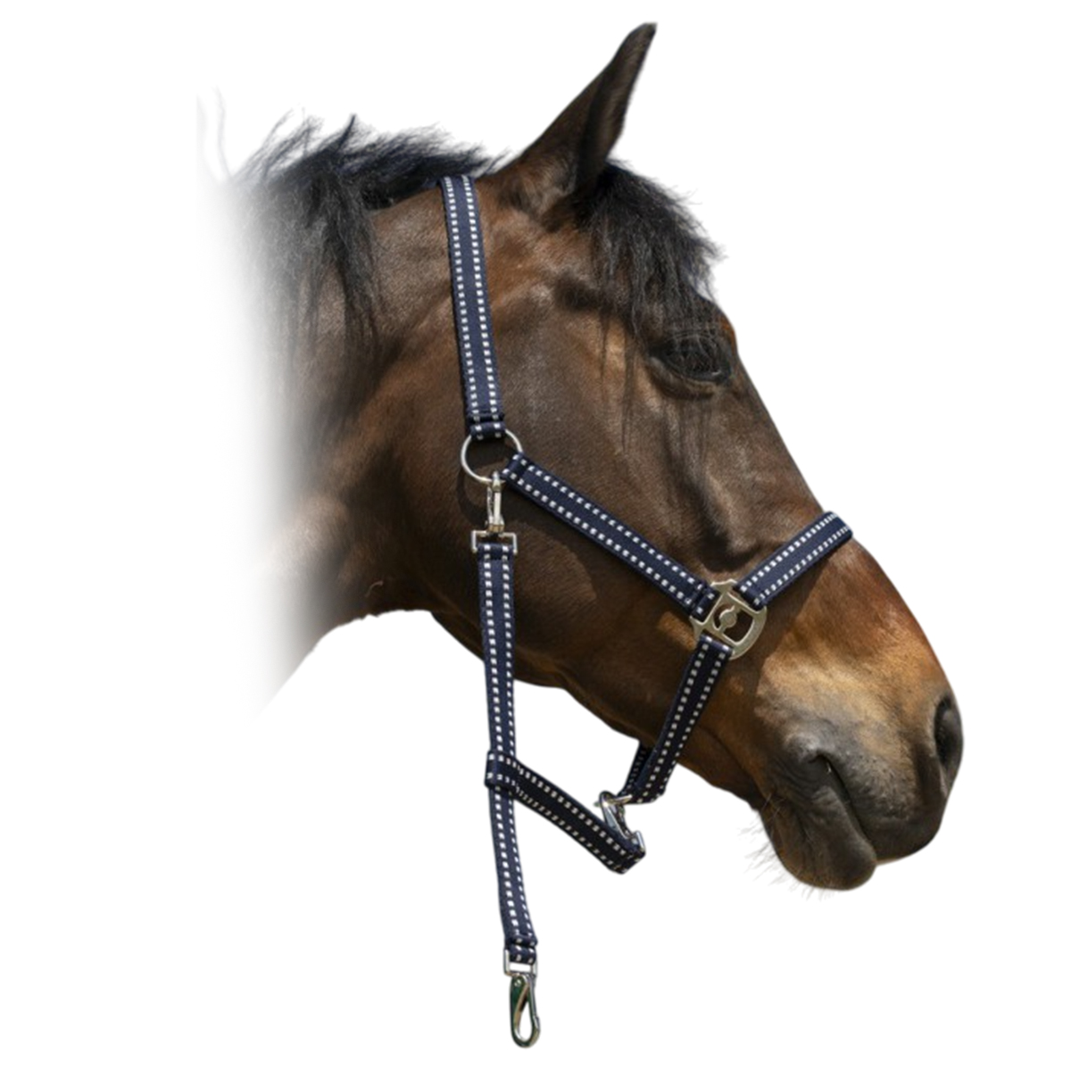 Недоуздок "Grooming" 